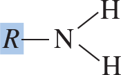 Amino functional group