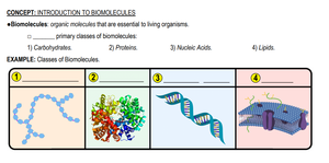 Synthesis and breakdown of polymers