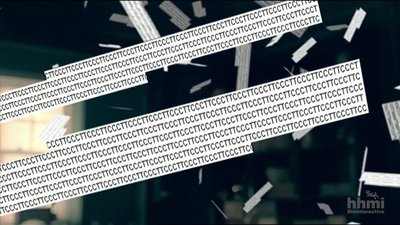 Visualization of DNA fragments generated in shotgun sequencing