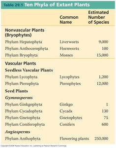 Table of ten phyla of extant plants