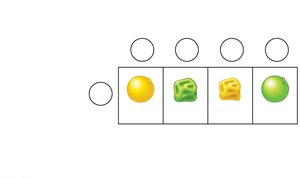 Diagram of independent assortment and recombination