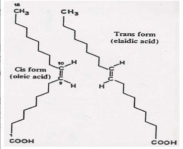 Cis and trans fatty acid structures