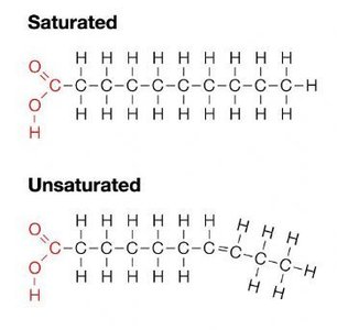 Saturated and unsaturated fatty acid structures