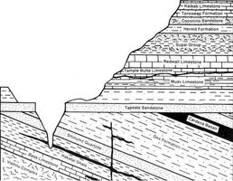 Detailed stratigraphic cross-section
