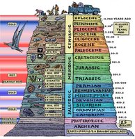Illustrated geological time scale