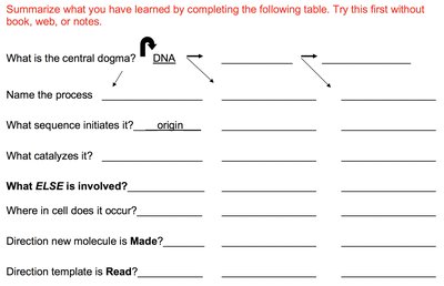 Summary table for central dogma