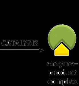 Catalysis and product formation