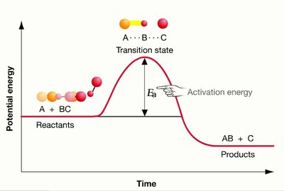 Activation step with ATP