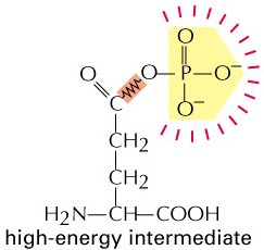 Condensation step with ammonia