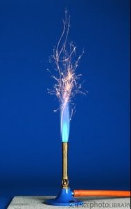 Effect of pH on pepsin and trypsin activity