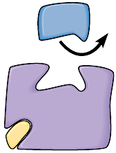 Noncompetitive (allosteric) inhibition illustration