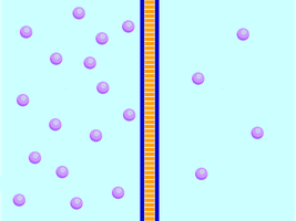 Diffusion across a membrane
