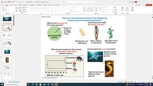 Questions answered by sequencing and comparing genomes