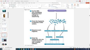 Shotgun sequencing workflow