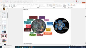 Protein interaction networks and systems biology