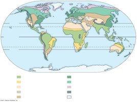 Global distribution of terrestrial biomes