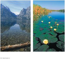 Oligotrophic and eutrophic lakes