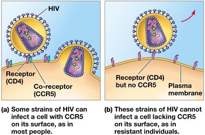 HIV resistance and membrane proteins
