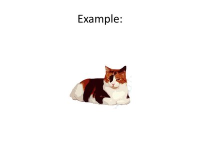 Example of X inactivation: calico cat