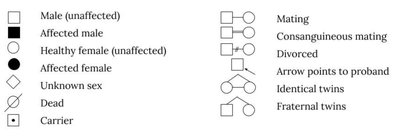 Pedigree relationships: horizontal and vertical lines