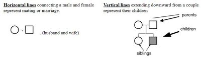 Pedigree relationships: horizontal and vertical lines