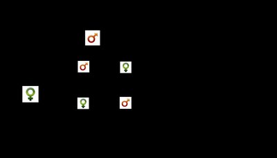 Pedigree for cat paw digit number