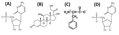 Structures of nucleotides and amino acid