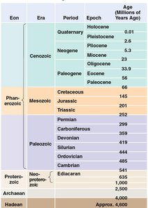 Geologic time scale