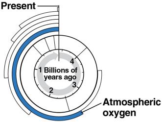 Rise of atmospheric oxygen