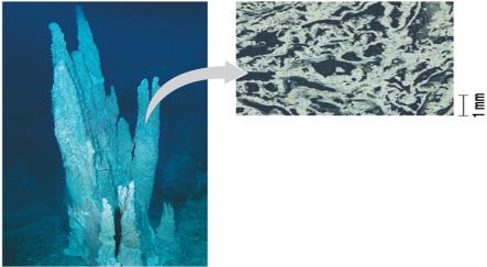 Hydrothermal vent and mineral structure