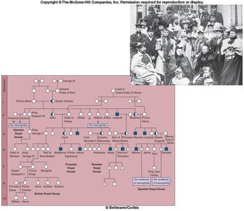 Pedigree showing inheritance of hemophilia in a royal family