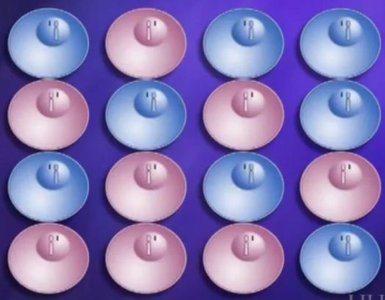 Diagram of X inactivation pattern in a sphere of cells