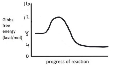 Graph of Gibbs free energy changes during a reaction