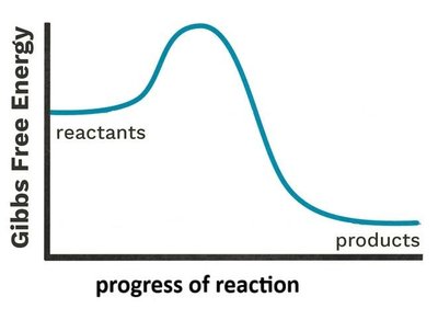 Gibbs free energy graph for a reaction
