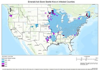 Map of Emerald Ash Borer Beetle Known Infested Counties
