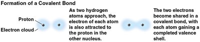 Formation of a covalent bond