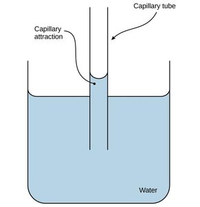 Hydrogen bonds in liquid water
