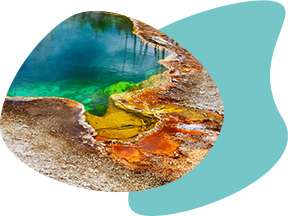 Hot spring, source of thermophilic bacteria for Taq polymerase