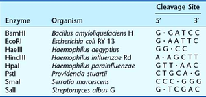Restriction enzyme recognition sites table