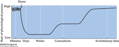Acclimatization vs adaptation comparison