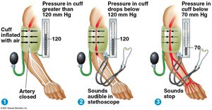 Measuring blood pressure with a cuff