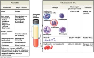 Blood composition: plasma and cellular elements
