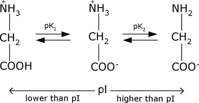 Glycine titration curve