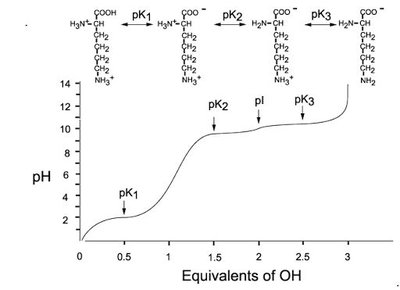 Aspartic acid titration curve