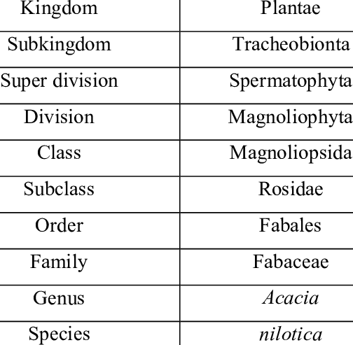 Taxonomic classification table for Acacia nilotica