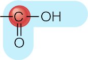 Carboxyl group non-ionised