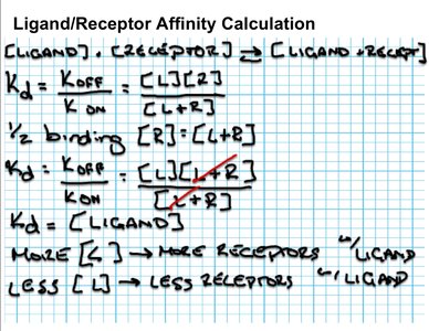 Ligand/receptor affinity calculation