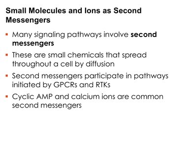 Small molecules and ions as second messengers