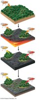 Diagram of allopatric speciation: geographic isolation and divergence
