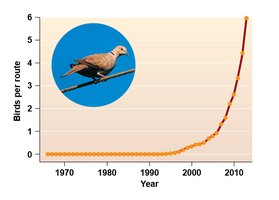 Graph of exponential population growth